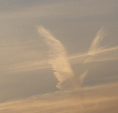 Praxis für Naturheilkunde und Praxis für Biokosmetik Susanne Vogel - Holographic Healing +