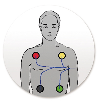 Praxis für Naturheilkunde und Praxis für Biokosmetik Susanne Vogel - Rayoscan-Bioresonanztherapie